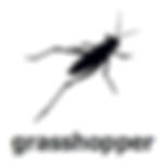 grasshopper.jpeg