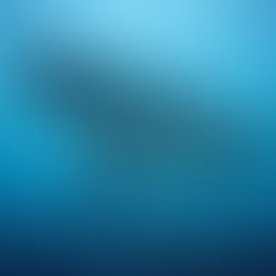 El género en los nombres epicenos