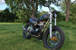 DSC_1474 (Medium).jpg