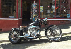 drew harley jpg adj17.jpg