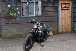 mal kawasaki bobber 027 (Small).JPG