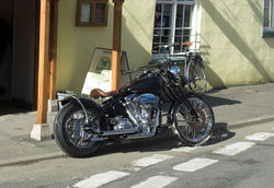 drew harley jpg adj26.jpg