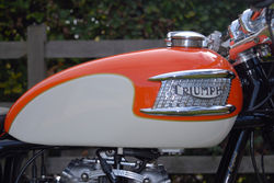 21st century triumph 027.jpg