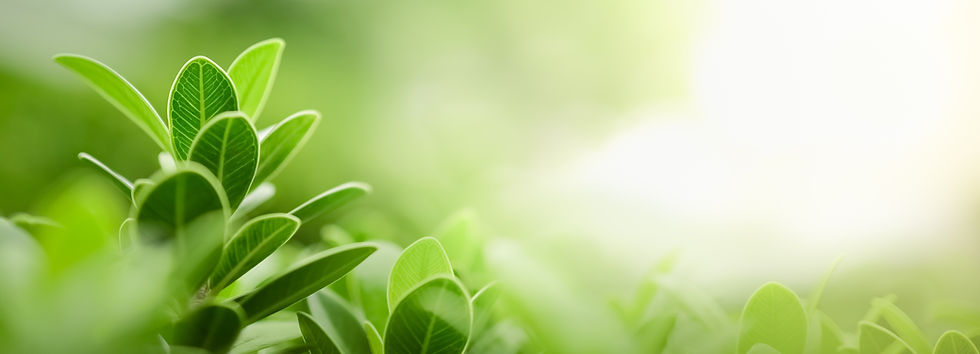 AdobeStock_291533500.jpeg