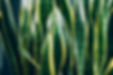 AdobeStock_272756983.jpeg