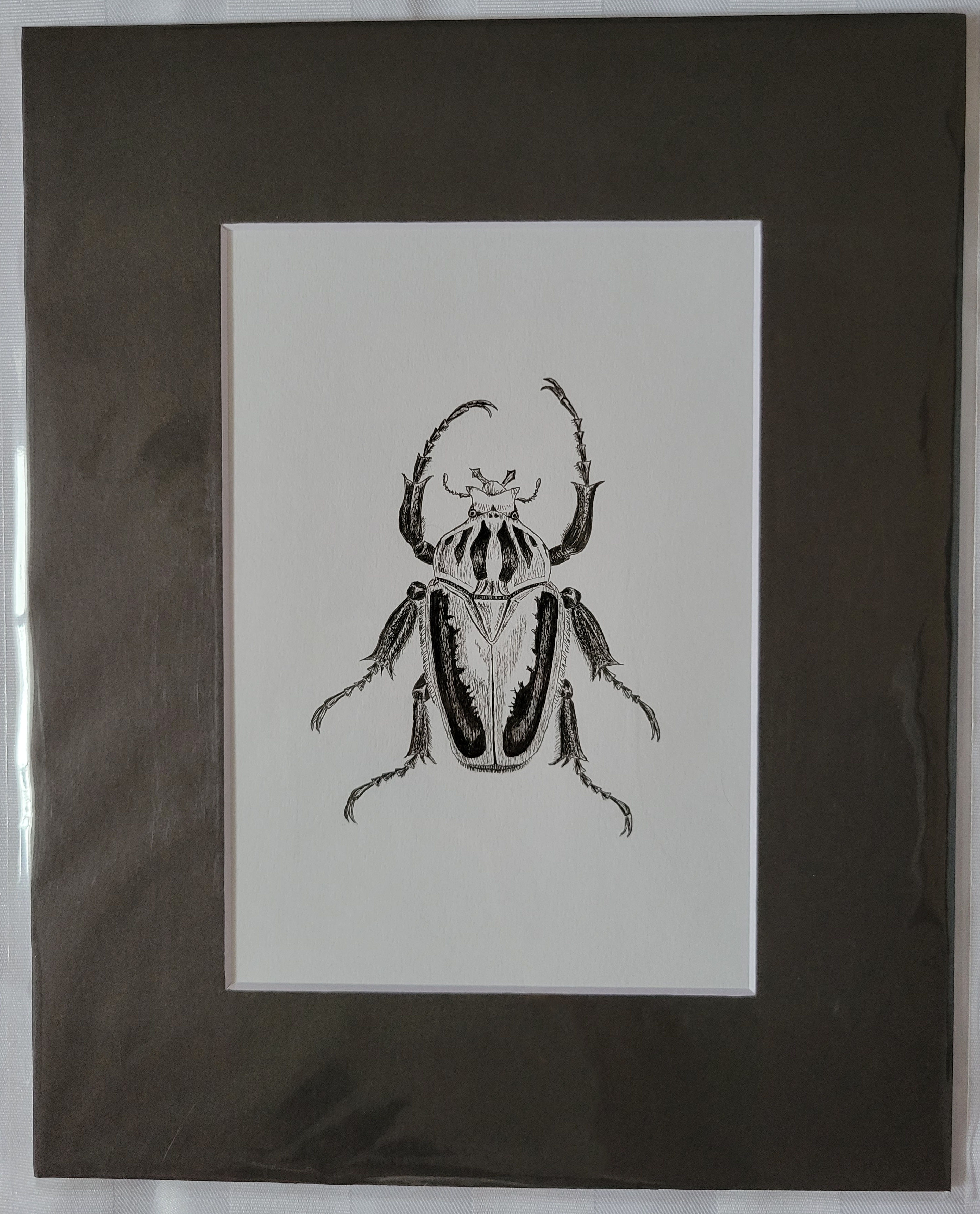Beetle pen drawing (original)