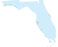 FLORIDA-image_opacity35.png