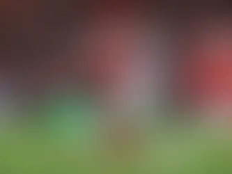 CAPTAIN DAN POST BORO