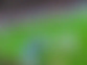 PLAYER RATINGS: BORO