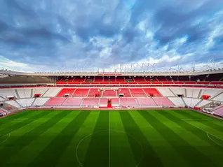 MORE BOARD APPOINTMENTS