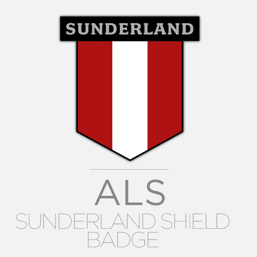 Sunderland intelligence overview