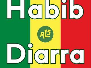 HABIB DIARRA: EXPERT VIEW