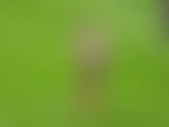 SQUAD UPDATE PRE HUDDS