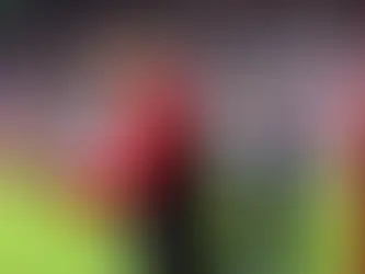 OTD: MICHAEL PROCTOR BORN