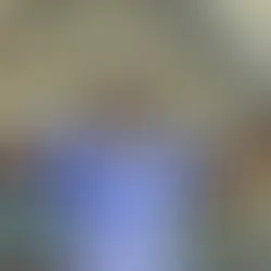 OPPOSITION VIEW: BHA