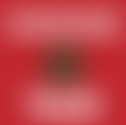 THE MOROCCAN MAGICIAN