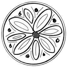 Pencil drawing of flower