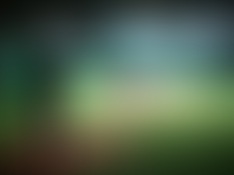 THE CAGE Is The Best Baseball Simulator In Utah!