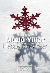 19.12 Savoy NY T_Page_1.jpg