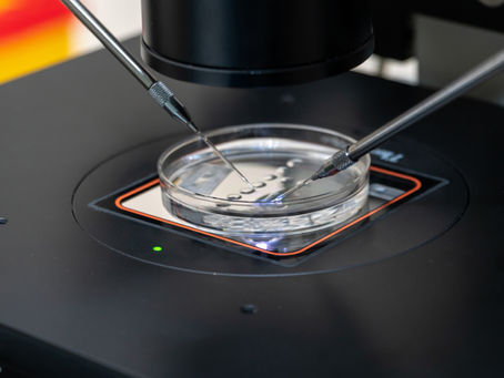 The Unsung Hero in IVF Labs: What Exactly Is Culture Media?