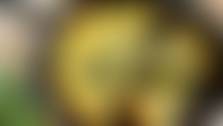 Svampfrittata med Örtblandning