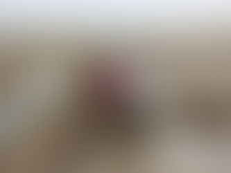 Heat dan debit pompa air Honda 3inch WB30XN