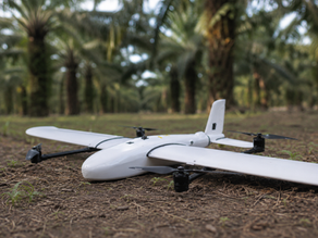 drone pemetaan lahan sawit, NDVI sawit, tree counting sawit, plantation monitoring drone