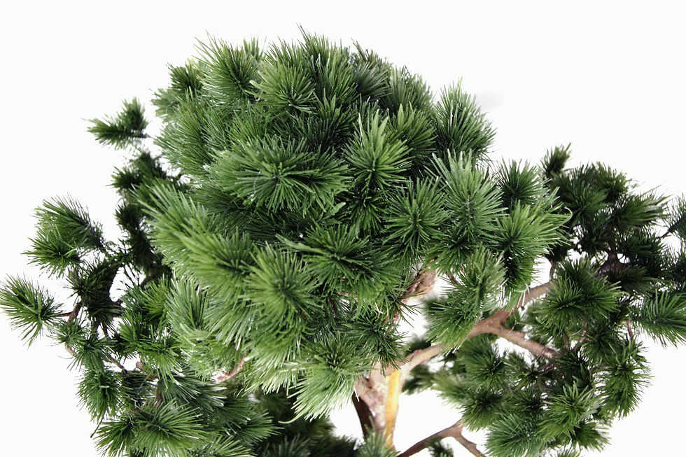 Thumbnail: Artificial X-Large 135cm Podocarp Tree