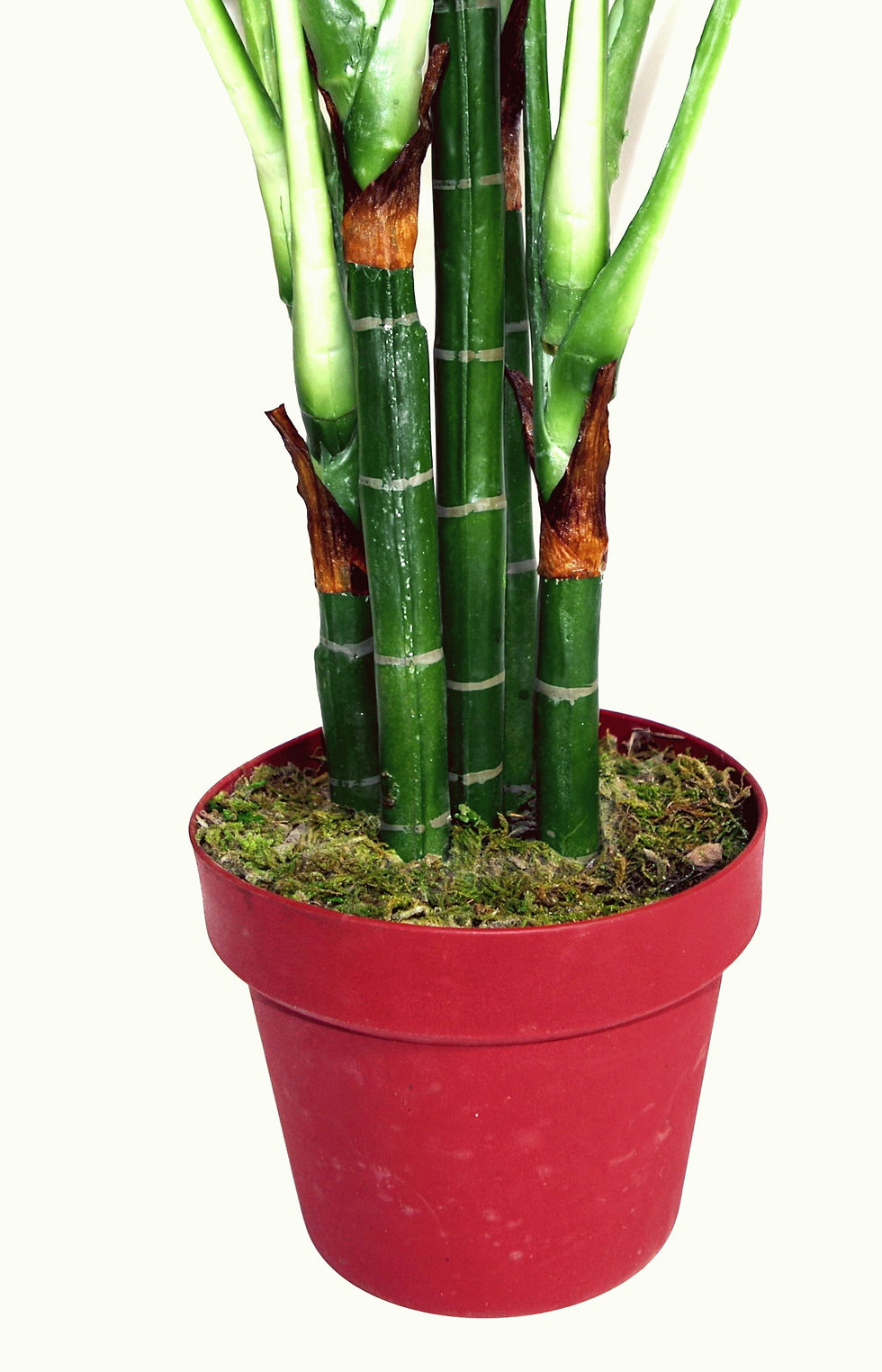 Thumbnail: Artificial X-Large 100cm Aglaonema Costatum Plant