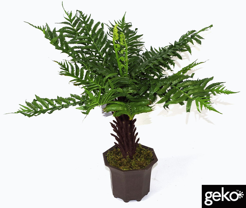 Thumbnail: Artificial Medium 55cm Common Fern Tree