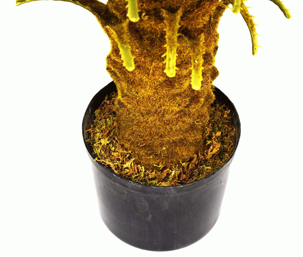 Thumbnail: Artificial Large 90cm Cycas Tree