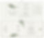 thiep_cuoi_cali_tr59701.JPG