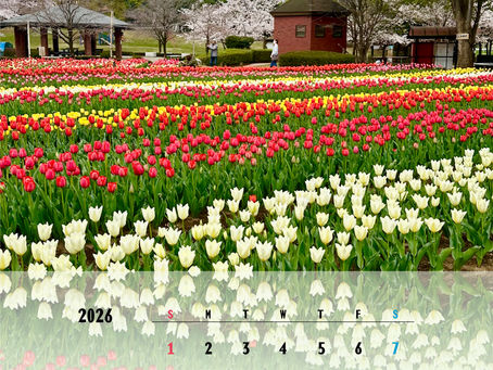 3月のMyカレンダー