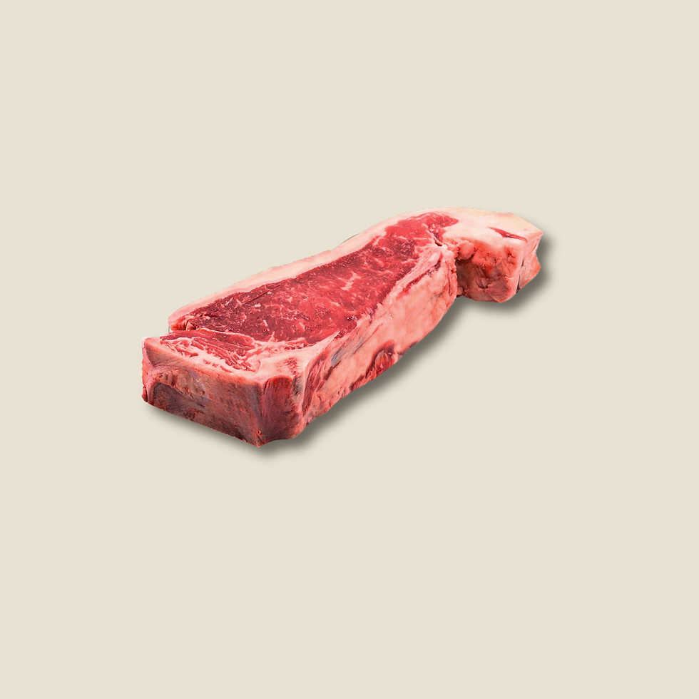 clubstek-o.png