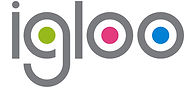 igloo logo.jpg