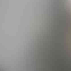 עלה הגינקו - סמלה של טוקיו שנשר מעץ