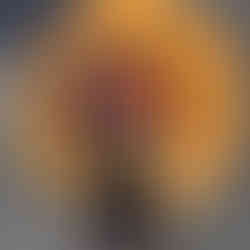 מכסה ביוב מעוצב