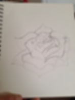 Pencil sketch of a rose bloom in a sketchbook.