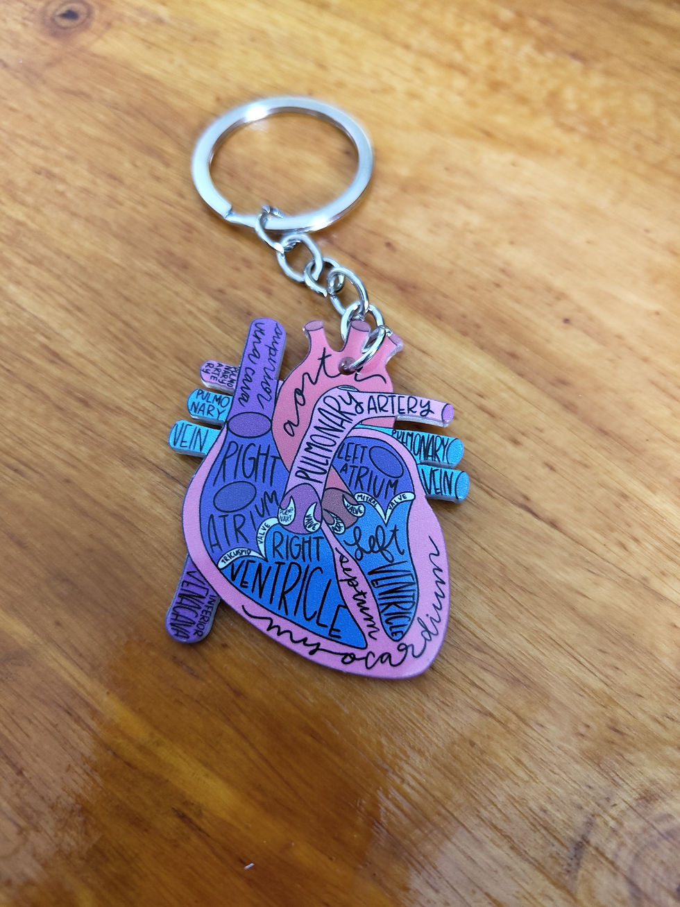 Thumbnail: Anatomy keychains