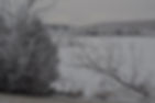 DSC_0469.jpg