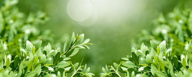 AdobeStock_314154589.jpeg