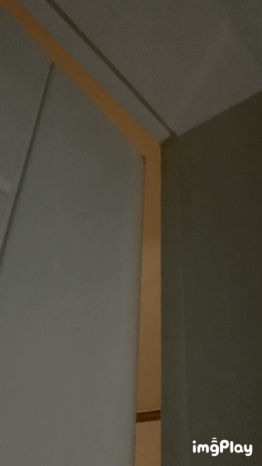 문.gif