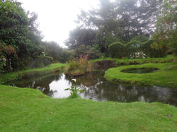 DSC01025.JPG