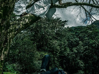Film: One Sided Love Story (previously known as The Climbing Tree)
