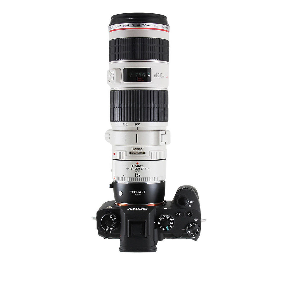 縮圖：TECHART TCS-04 CANON EF TO SONY E AF ADAPTOR 