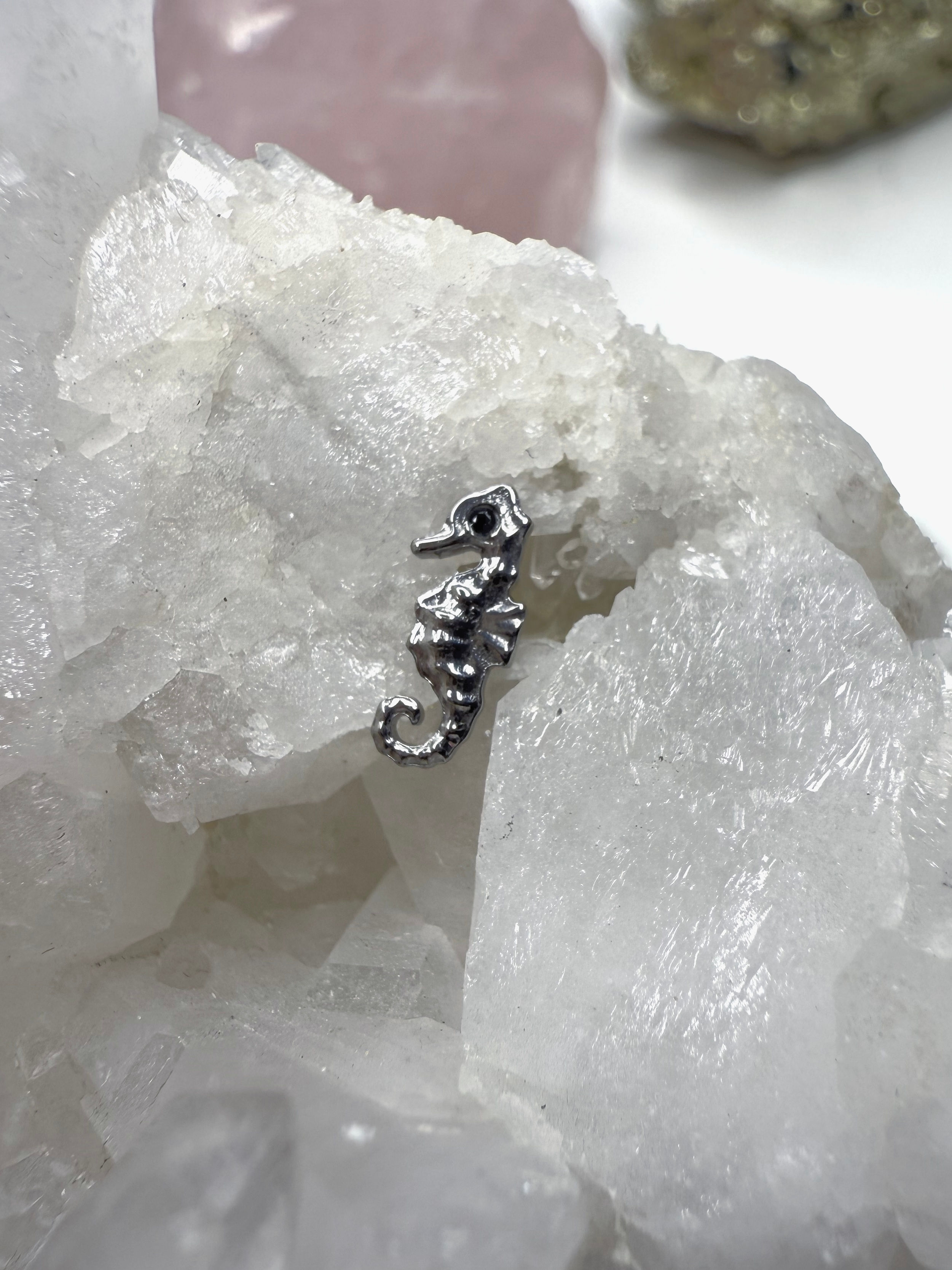 Top Seahorse (16g)