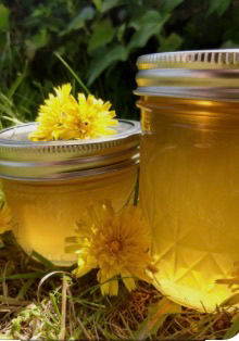 Dandelion Blossom Jelly
