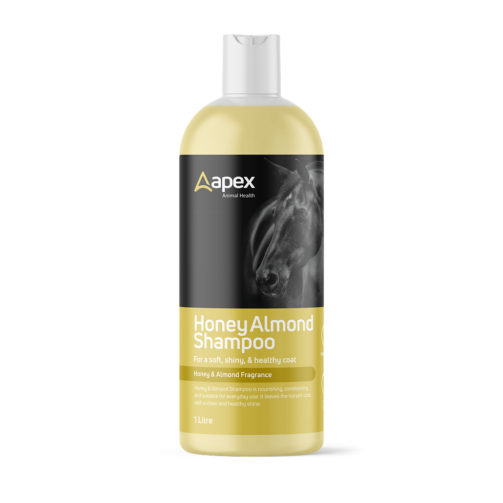 Apex Honey & Almond Shampoo 1L