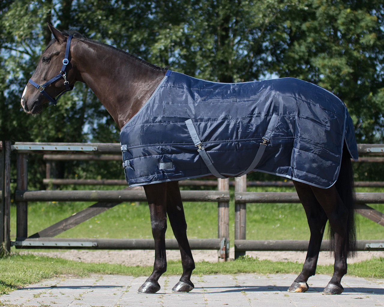 Qhp Stable Start Rug 300g- Navy