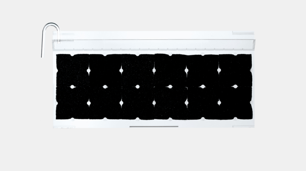 Wabi-Kusa Wall 60 "DOOA"